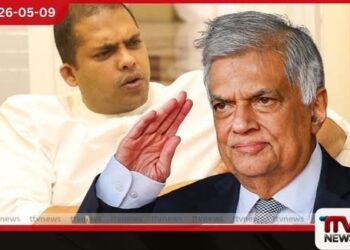 රනිල් වික්‍රමසිංහ ජූනි මාසයේදී  යළි ක්‍රියාකාරී දේශපාලනයට  හරීන් ප්‍රනාන්දුගෙන්  විශේෂ හෙළිදරව්වක්
