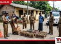 පානදුරේදී නීතිවිරෝධී මත්පැන්  සමඟ පුද්ගලයෙකු  අත්අඩංගුවට