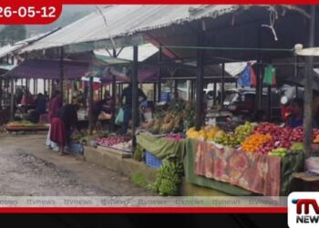 නුවරඑළිය සතිපොළ අසූචි විමානයක් වෙයි: