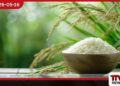ලුණු වතුරෙන් අස්වැන්න නෙළන චීනයේ මුහුදු වී තාක්ෂණය ලොව පුරා මිලියන 200කගේ බඩගින්න නිවීමට විසඳුමක්