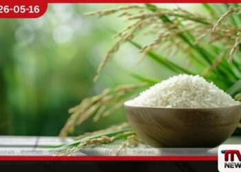 ලුණු වතුරෙන් අස්වැන්න නෙළන චීනයේ මුහුදු වී තාක්ෂණය ලොව පුරා මිලියන 200කගේ බඩගින්න නිවීමට විසඳුමක්