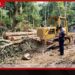ඉංගිරිය දොඹගස්කන්ද රක්ෂිතයේදී සිදුවූ අනතුරකින් පුද්ගලයෙකු ජීවිතක්ෂයට
