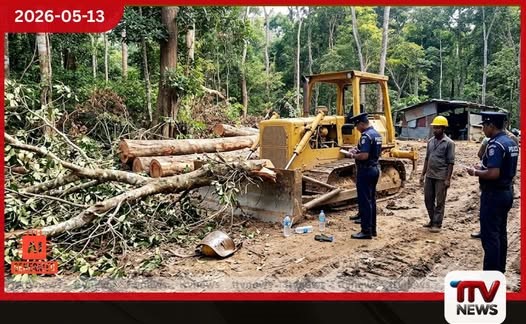 ඉංගිරිය දොඹගස්කන්ද රක්ෂිතයේදී සිදුවූ අනතුරකින් පුද්ගලයෙකු ජීවිතක්ෂයට