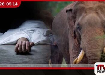 වනඅලි ප්රහාරයකින් 44 හැවිරිදි දෙදරු මවක් ජීවිතක්ෂයට
