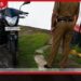 පොලිස් නිල ඇඳුමින් පැමිණ  රත්මලානේදී ලක්ෂ 5ක් කොල්ලකයි