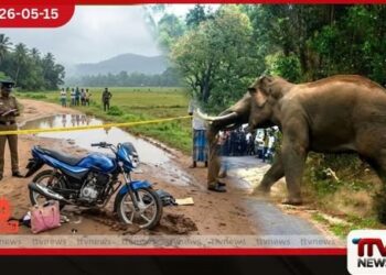 විල්ගමුව මොරගහ උල්පතදී  වන අලි ප්‍රහාරයකින්  පියෙකු සහ දියණියක  ජීවිතක්ෂයට
