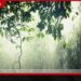 අඩු පීඩන කලාපයේ බලපෑමෙන්  දිවයිනේ බොහෝ ප්‍රදේශවලට  තද වැසි  අවධානයෙන් සිටින්නැයි දැනුම්දීමක්