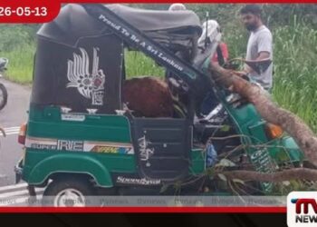 දඹුල්ලේදී ත්‍රී රෝද රථයක්  මතට ගසක අත්තක් කඩා වැටී