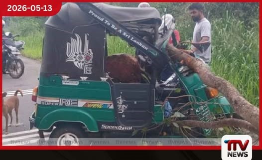දඹුල්ලේදී ත්රී රෝද රථයක් මතට ගසක අත්තක් කඩා වැටී