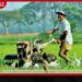 ගොවි ගැටලු විසඳීමට ගොවිජන සභාව නමින්  නව වැඩපිළිවෙලක්