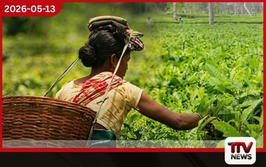 තේ කර්මාන්තයේ සේවකයන් වෙනුවෙන් නව විශ්රාම වැටුප් ක්රමයක්