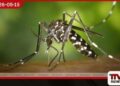 මදුරුවන්ගෙන් බෝවන රෝග  අවදානම ඉහළට බරවා සහ ඩෙංගු පිළිබඳ  සෞඛ්‍ය අංශවලින් විශේෂ නිවේදනයක්