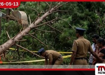 ඉංගිරිය රක්ෂිතයේ  මාර්ගයක් හදද්දී  පයිනස් ගසක් හිසට වැටී  පුද්ගලයෙක් මරුට