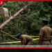 ඉංගිරිය රක්ෂිතයේ මාර්ගයක් හදද්දී පයිනස් ගසක් හිසට වැටී පුද්ගලයෙක් මරුට