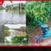 දිස්ත්රික්ක 3ක කොට්ඨාස 12කට නායයෑම් අනතුරු ඇඟවීම්