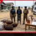 නීති විරෝධී මත්පැන් සමඟ  හලාවතදී  පුද්ගලයෙකු අත්අඩංගුවට