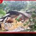 අයහපත් කාලගුණයෙන් නිවාස 142කට හානි  පුද්ගලයින් 4,000කට  වැඩි පිරිසක් පීඩාවට