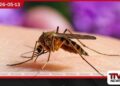 ශ්‍රී ලංකාව දැඩි අවදානමක  දිස්ත්‍රික්ක 7ක ජනතාවට  බරවා මර්දන ව්‍යාපාරයෙන්  විශේෂ අනතුරු ඇඟවීමක්
