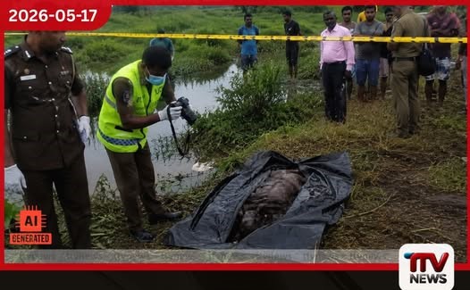 ජල පහරකට හසුව ගසාගෙන ආ බවට සැක කෙරෙන නාදුනන මළ සිරුරක් හෝමාගමෙන් හමුවෙයි