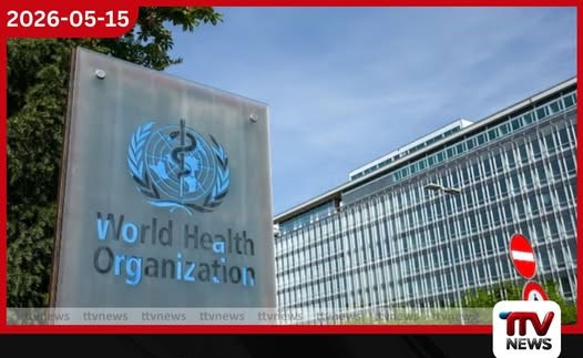 යොවුන් වියේ පසුවන්නන් ඉලක්ක කරගත් නිකොටින් පැකට් පිළිබඳව ලෝක සෞඛ්ය සංවිධානයෙන් අනතුරු ඇඟවීමක්