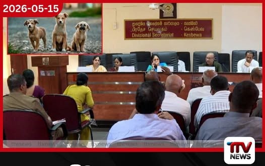 වීදි සතුන් සඳහා රැකවරණ මධ්යස්ථාන සහ සත්ව ආදාහනාගාර පිහිටුවීමේ නව ව්යාපෘතියක්