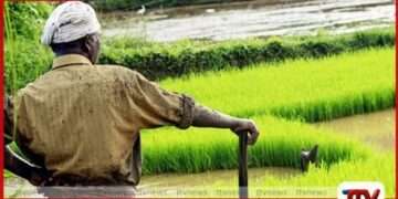 විසඳුම් නොදුන්නොත්  කොළඹට එන බවට  ගොවීන්ගෙන් අනතුරු ඇඟවීමක්
