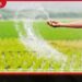 තඹුත්තේගම ගැටලුසහගත  පොහොර සාම්පල පරීක්ෂාවට  ගොවි චෝදනා හමුවේ  පරීක්ෂණ ඇරඹෙයි