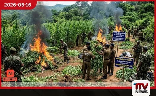 හම්බෙගමුවේ රුපියල් ලක්ෂ 20ක ගංජා හේන් දෙකක් පොලිසිය වටලයි