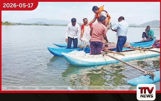 දිට්වා සුළි කුණාටුවෙන් විනාශ වූ මත්ස්ය සම්පත නඟාසිටුවීමට මුතුකණ්ඩිය ජලාශයට මත්ස්ය ඇඟිල්ලන් 81,000ක්