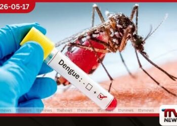 ඩෙංගු රෝගීන් 28,000 ඉක්මවයි