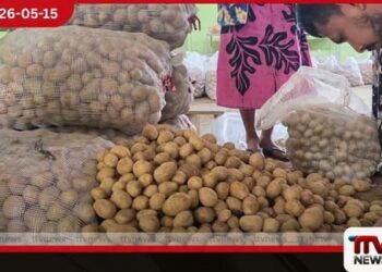 නුවරඑළිය ගොවීන්ගේ අර්තාපල් අස්වැන්න රජයට කිලෝවකට රුපියල් 220ක ස්ථාවර මිලක්