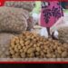 නුවරඑළිය ගොවීන්ගේ  අර්තාපල් අස්වැන්න රජයට  කිලෝවකට රුපියල් 220ක  ස්ථාවර මිලක්