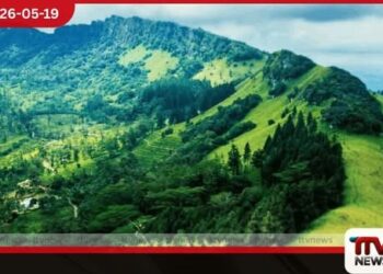 හන්තානයේ වටිනා භූමි කොටසක්  වන සංරක්ෂණයට  පැවරීමේ සූදානමක්