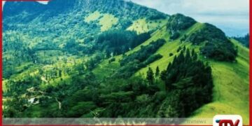 හන්තානයේ වටිනා භූමි කොටසක්  වන සංරක්ෂණයට  පැවරීමේ සූදානමක්