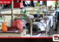පවතින වැසි සමඟ  ඩෙංගු අවදානම ඉහළ යයි  සෞඛ්‍ය අංශවලින් රතු එළියක්
