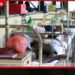 පවතින වැසි සමඟ ඩෙංගු අවදානම ඉහළ යයි සෞඛ්ය අංශවලින් රතු එළියක්