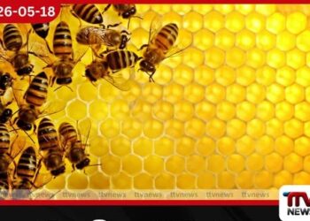 දේශීය මී පැණි නිෂ්පාදනය සිව් ගුණයකින් ඉහළ නැංවීමට කෘෂිකර්ම දෙපාර්තමේන්තුවෙන් විශේෂ සැලසුමක්