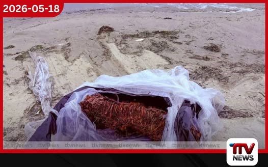 මන්නාරමේදී ලොකු බීඩි කොළ තොගයක් නාවික හමුදාවට අහුවේ
