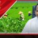 ජාත්යන්තර තේ දින සමුළුවට සහභාගී වීම සඳහා ඇමති සමන්ත චීනය බලා පිටත්ව යයි