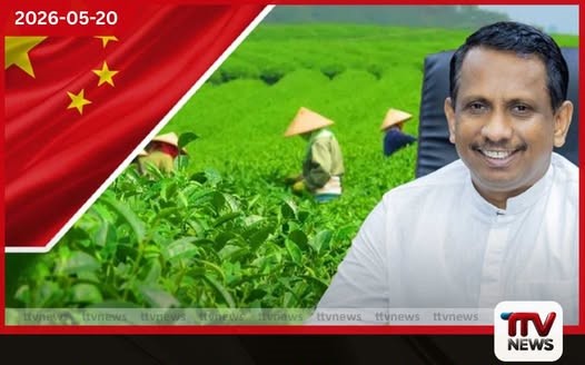 ජාත්යන්තර තේ දින සමුළුවට සහභාගී වීම සඳහා ඇමති සමන්ත චීනය බලා පිටත්ව යයි