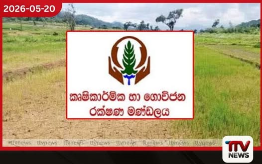 වැස්සෙන් සිදුවූ වගා හානි දින 14ක් ඇතුළත දැනුම් දෙන්න රක්ෂණ මණ්ඩලයෙන් ගොවීන්ට හදිසි නිවේදනයක්