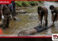රත්නපුර කළු ගඟේ  පාවෙමින් තිබූ  නාඳුනන පිරිමි මළසිරුරක් සොයාගැනේ හඳුනා ගැනීමට පොලිසිය  මහජන සහාය පතයි