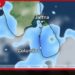 බෙංගාල බොක්කේ  අඩු පීඩන කලාපයක් හෙට (17) දිවයිනේ  ප්‍රදේශ රැසකට තද වැසි