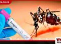 ඩෙංගු රෝගීන්  තිස්දහසකට ආසන්න වෙයි