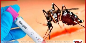 ඩෙංගු රෝගීන් තිස්දහසකට ආසන්න වෙයි