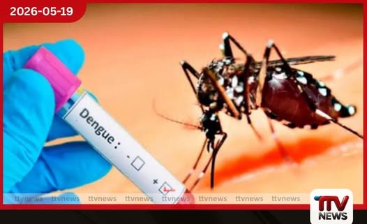 ඩෙංගු රෝගීන් තිස්දහසකට ආසන්න වෙයි