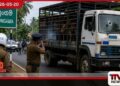 හුංගමදී නීතිවිරෝධී ගව ප්‍රවාහන  ලොරි රථයකට  පොලිස් වෙඩි ප්‍රහාරයක්