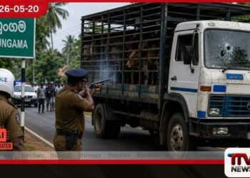 හුංගමදී නීතිවිරෝධී ගව ප්‍රවාහන  ලොරි රථයකට  පොලිස් වෙඩි ප්‍රහාරයක්