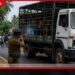 හුංගමදී නීතිවිරෝධී ගව ප්‍රවාහන  ලොරි රථයකට  පොලිස් වෙඩි ප්‍රහාරයක්