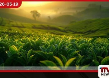 කුඩා තේ වතු හිමියන්ට රුපියල් මිලියන 2,500ක අතිරේක පොහොර සහනාධාරයක්